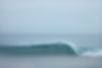 IMG_4217_s