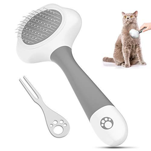 Set cepillo con limpiador