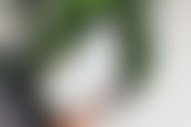 Influencer Marketing: What Is It & How Does It Work?