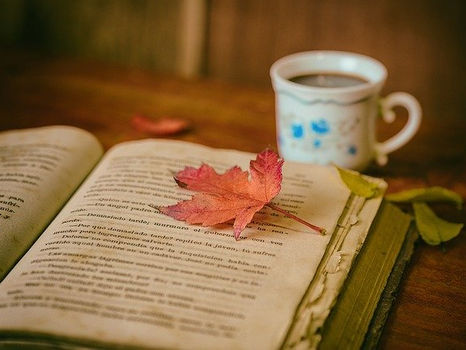 Mis lecturas de septiembre: de romances deportivos, matrimonios pactados e intrigas políticas