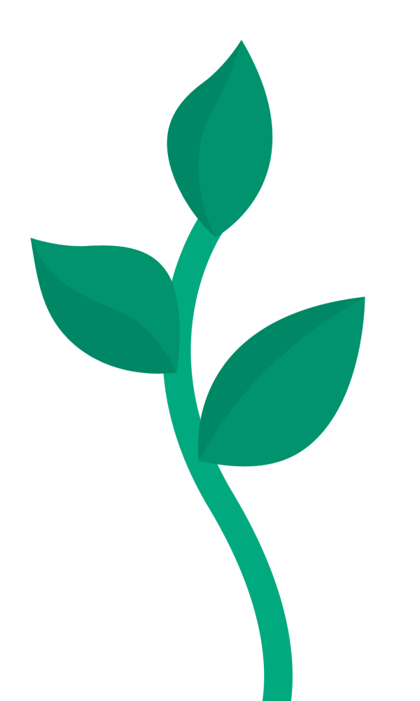 planta.gif