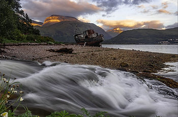 Golden Harvest 800.jpg