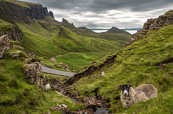 Quiraing 800.jpg