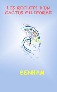 Les reflets d'un cactus filiforme