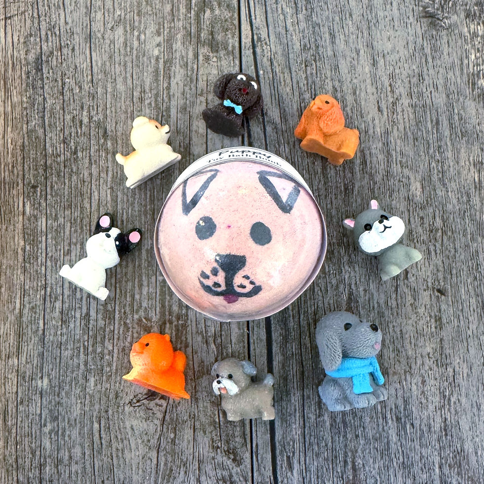 Puppy Toy Bath Bomb