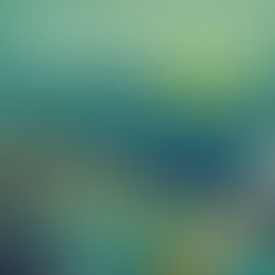 BENHAM : Nouvel Album