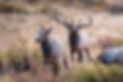 AdobeStock_128425079.jpeg