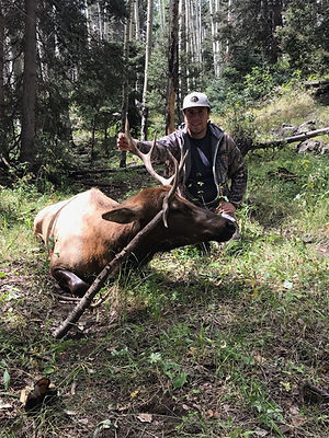 33978CD9-A1ED-451B-B187-F82DC4469DEF.jpe