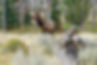 AdobeStock_315710804.jpeg