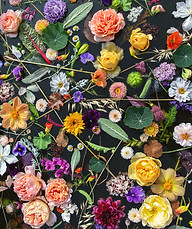 water flowers.jpeg
