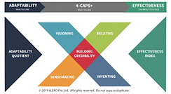 XLEAD graphic.png
