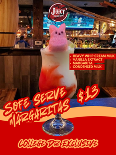🍹Soft serve meets margarita🍦