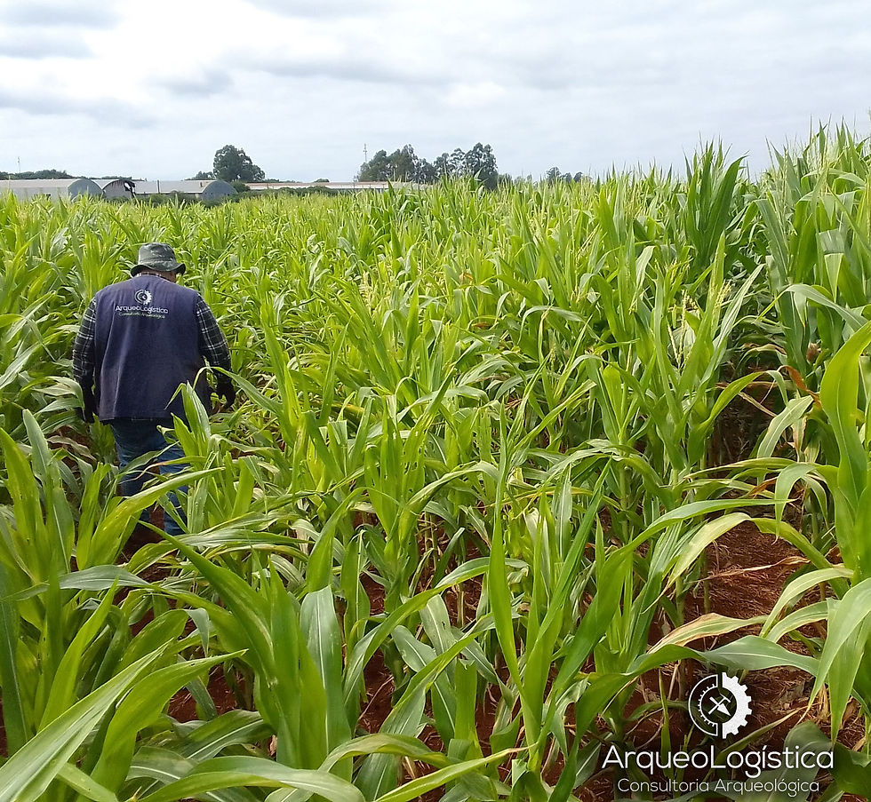 Pesquisa Arqueológica em Santa Terezinha de Itaipu, Paraná