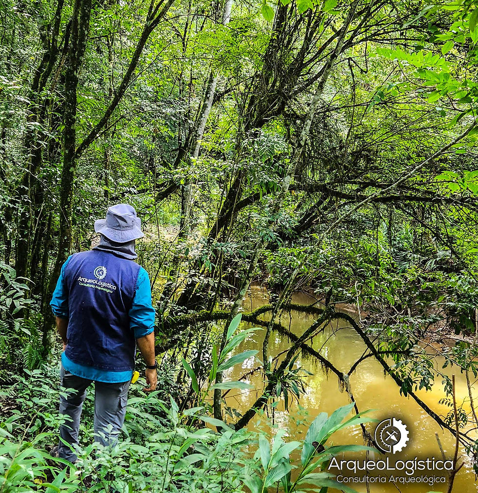 Almirante Tamandaré é alvo de pesquisa arqueológica para condomínio