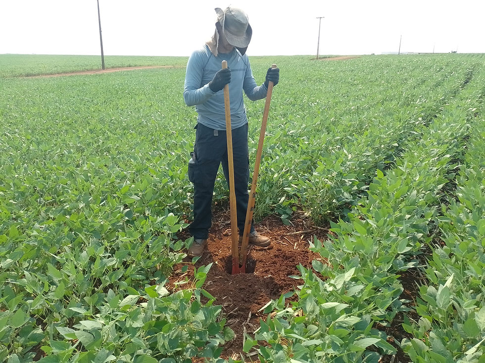 Projeto Arqueológico com autorização do IPHAN é realizado em Palotina, zona noroeste do Paraná