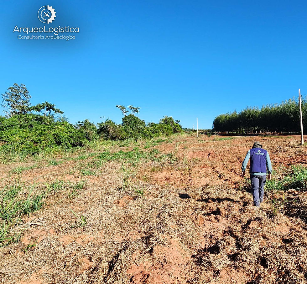 Pesquisa Arqueológica é realizada em Altônia, Paraná