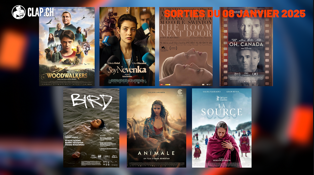 Sortie Film Janvier 2025
