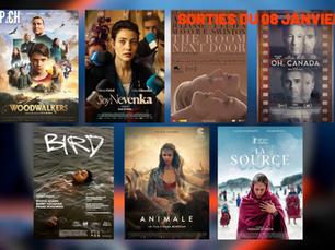 Sorties cinéma de la semaine du 08 janvier 2025