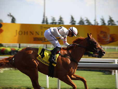 The 2025 King’s Plate – 166 Years of Glory, Grit, and Greatness