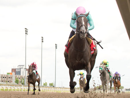 Olivia Rose Dominates Ballade Stakes