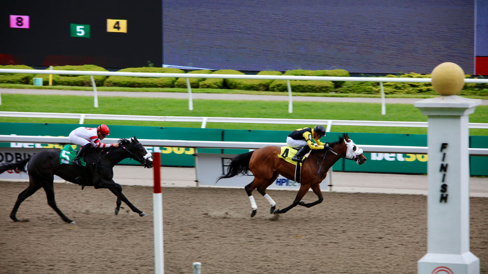 Digital and Hard Copy Foal Certificates