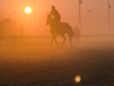 World Cup soccer world class horse racing
