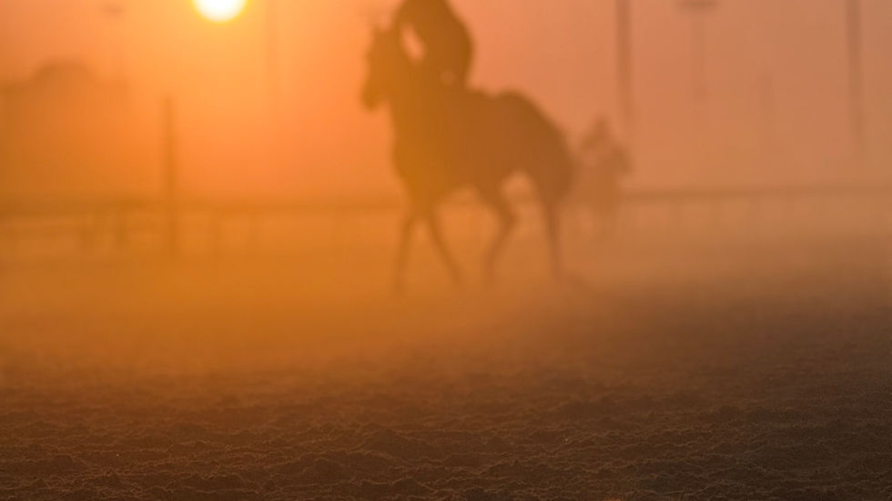 World Cup soccer world class horse racing
