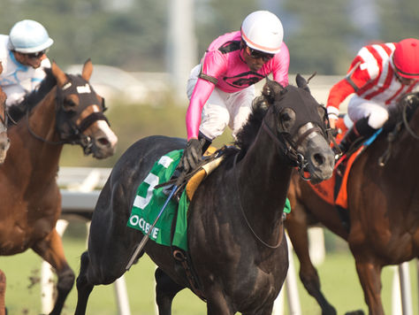 Woodbine 2026 Stakes Schedule 