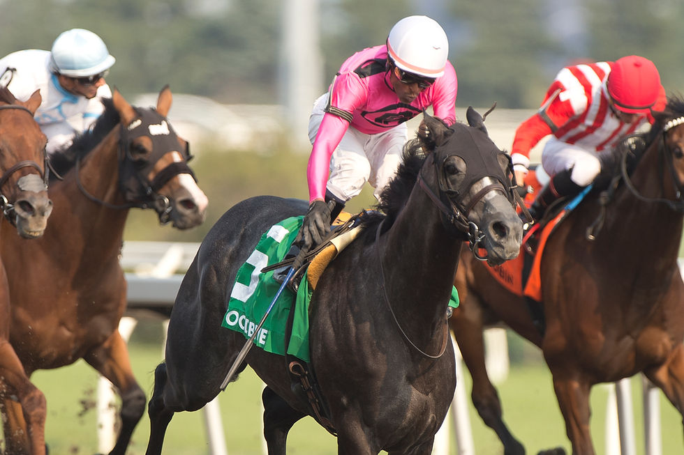 The Picks: Graded Stakes Galore at Woodbine Saturday!