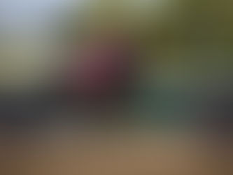 Woodbine Oaks - Photo Recap