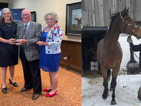 CHAUFFEUR TO THE (EQUINE) STARS - IVAN VANDERBURGH