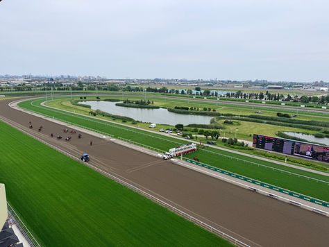 Ontario’s Thoroughbred industry receives additional funding of more than $10 million