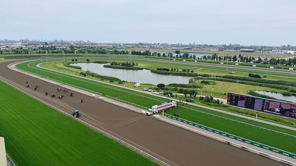 Ontario’s Thoroughbred industry receives additional funding of more than $10 million