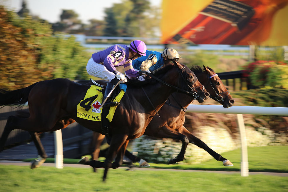 Santino Di Paola Photo - Down to the wire after 1/1/2