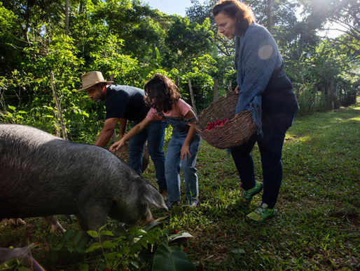 A historia da YAGUARA ECOLOGICO - revista azul