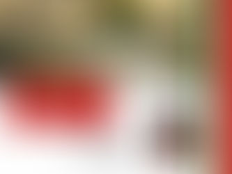 Bornova'dan Levanten Hikayeleri