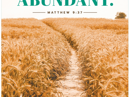 Bulletin: June 14, 2026