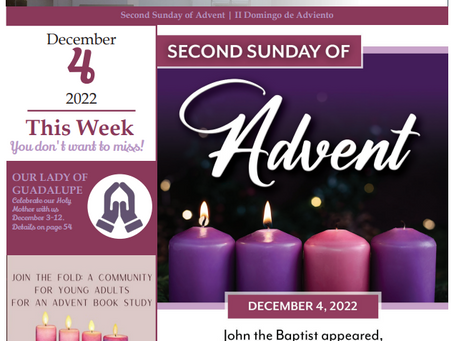 Bulletin: December 4, 2022