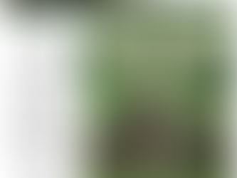 Bulletin: February 13, 2022