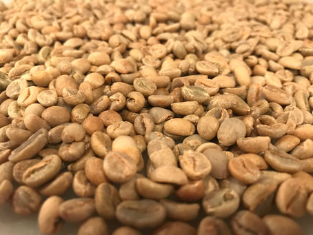 エチオピア イルガチェフェ ナチュラル