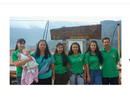 コスタリカ ネリー ナチュラル