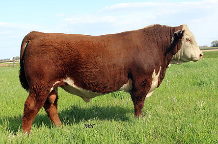 Abilene M460 high res May 2026.jpg