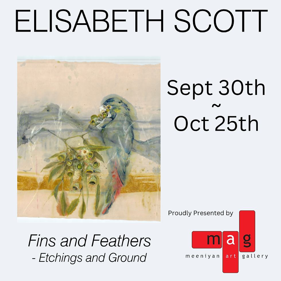 Elisabeth Scott 'Fins & Feathers