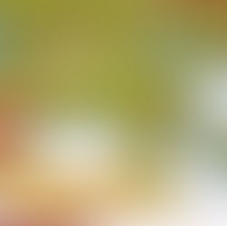 10 Must-Haves for South Gippsland Hospitality Websites