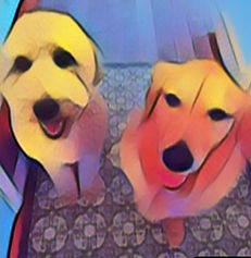 cartoon s and f.jpg