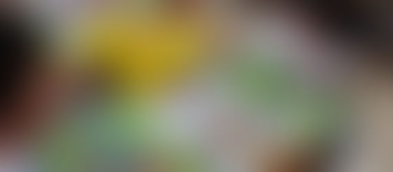 絵の具でぶどうを描いたよ!年中組絵画活動