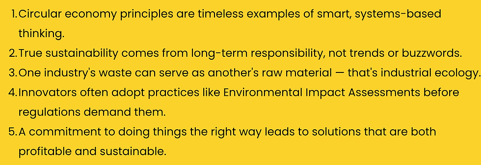 Text on yellow background: Four points about sustainability focus on joy, inner peace, achievable tasks, overcoming skepticism, and fostering innovation.