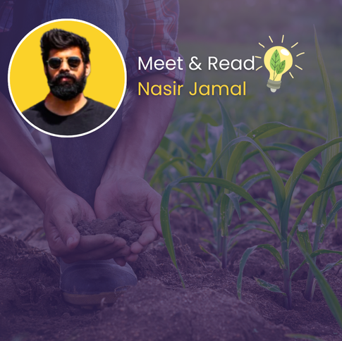 Can We Build our Future without Soil?