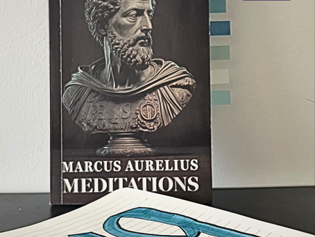 Meditations and why Decision Hygiene requires Internal Restraint