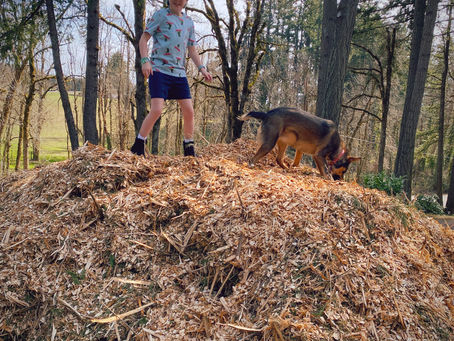 How Much Wood Would a Woodchuck Chuck......